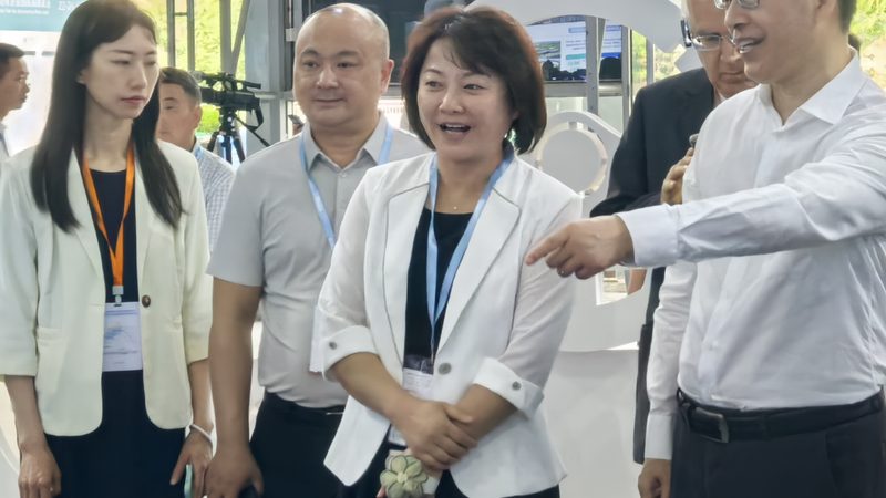 目前市场上的洗车美容套装种类繁多，主要包括以下几类：